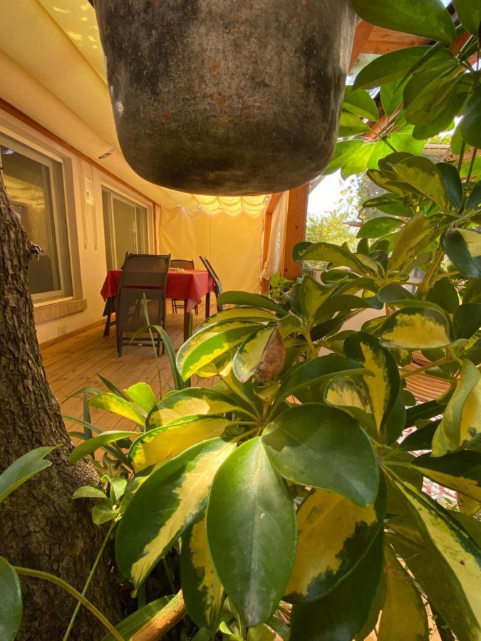 Vila Ancora Bilocale Marina di Massa Exteriér fotografie